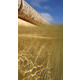 Пленка для бассейна ELBEblue PURE Terra Sand 165cm, толщина 1.8 мм, рулон 21м Изображение