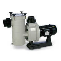 Насос Hayward (Kripsol) KAP300  48м3/ч, 90 мм, 2,76 кВт, 400 В, 3F Изображение