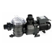 Насос Pentair Swimmey SW-15M 0,50  кВт, 9 м3/ч, 220 В Изображение