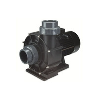 Насос IML NEW BCC 300M  58м3/ч, 75 мм, 2,4 кВт, 220 В,без префильтра, подключение 75 мм Изображение