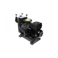 Насос Saci VARIO Magnus 4 1000, 1450 rpm, 126 м3/ч, 7,5 кВт, 400B, фланцевое подключение 110 мм Изображение