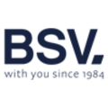 BSV Electronics